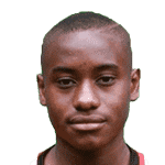 N. Diallo