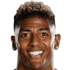 P. van Aanholt