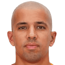 S. Feghouli