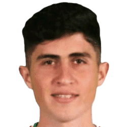 زاووشی