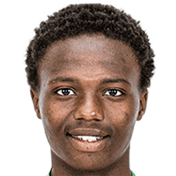 N. Nkosi