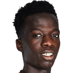 P. Diallo