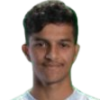N. Al Saadi