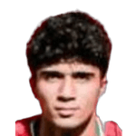  معظمی‌ تبار 