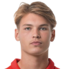 Van den Berg