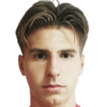 N. Mujkic