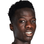 P. Diallo
