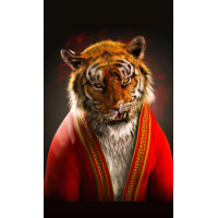 کاربر Nedali در 14بازیکن