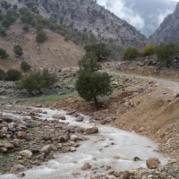 alimanteghi
