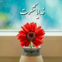 salman1373