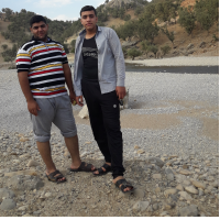 saydnoor
