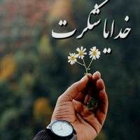 sepide-gh